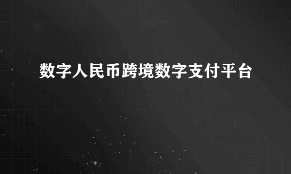 数字人民币跨境数字支付平台