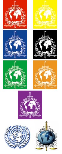 国际通报