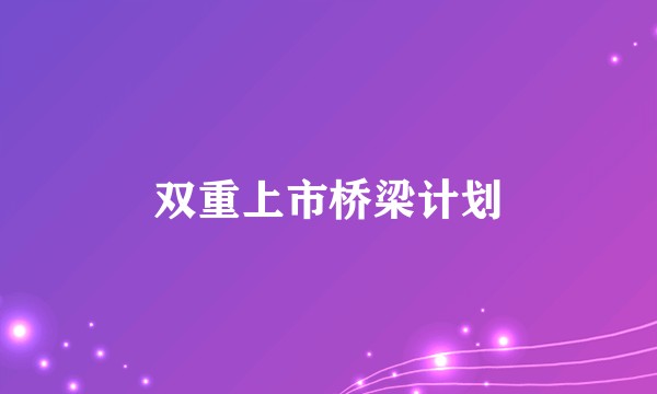 双重上市桥梁计划