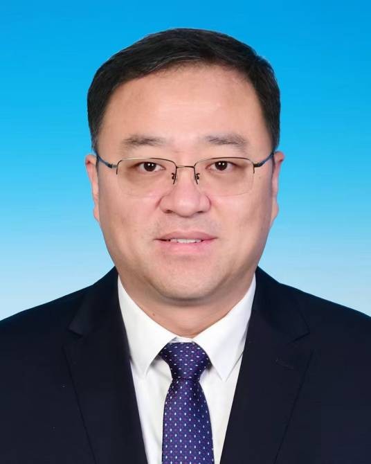齐力（北京市密云区石城镇党委书记）