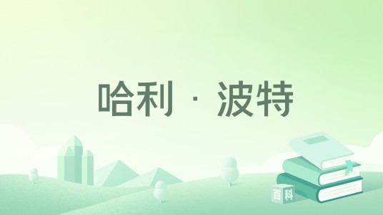 哈利·波特（王瑞琴等编写的简体中文版图书）