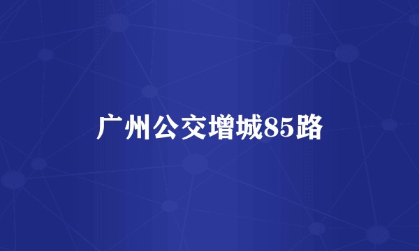 广州公交增城85路