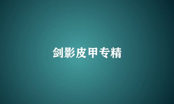 剑影皮甲专精