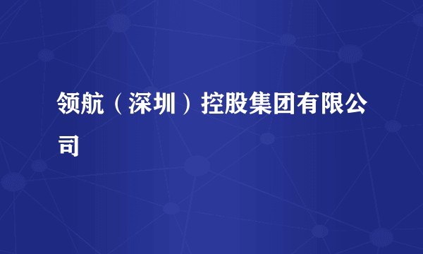 领航（深圳）控股集团有限公司