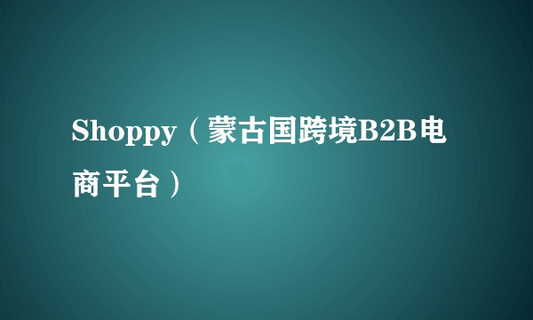 Shoppy（蒙古国跨境B2B电商平台）