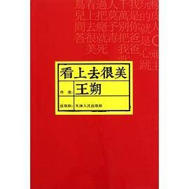 看上去很美（金版）(2VCD)