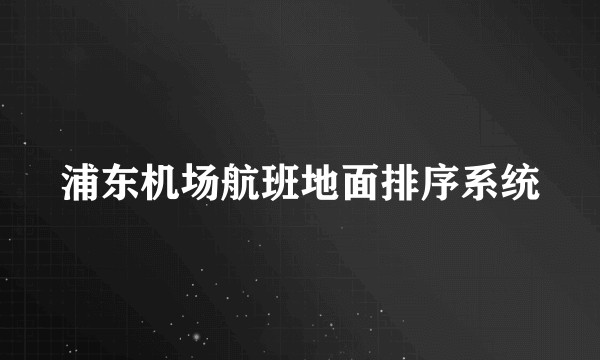 浦东机场航班地面排序系统