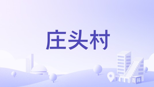 庄头村（河南省郑州市登封市大金店镇下辖村）