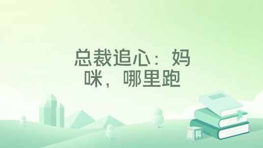 总裁追心:妈咪,哪里跑