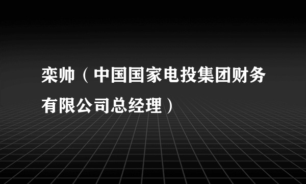 栾帅（中国国家电投集团财务有限公司总经理）