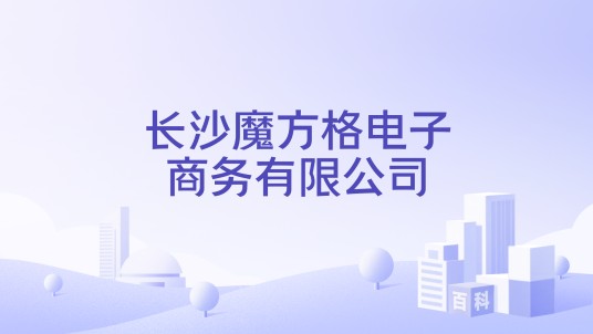 长沙魔方格电子商务有限公司