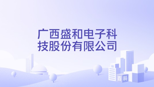 广西盛和电子科技股份有限公司