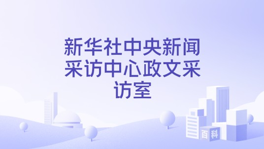 新华社中央新闻采访中心政文采访室