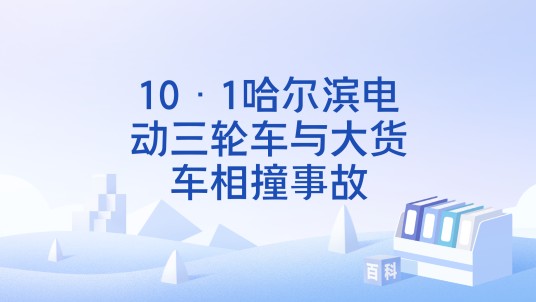 10·1哈尔滨电动三轮车与大货车相撞事故