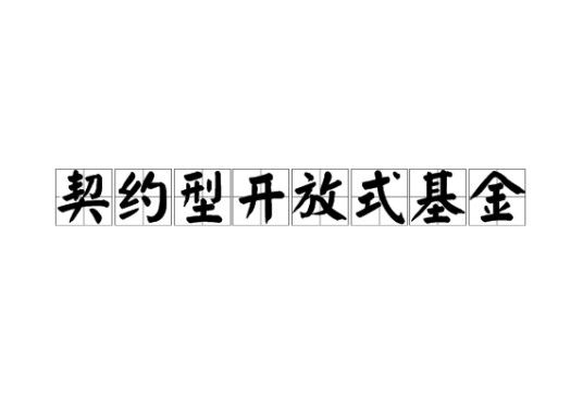 契约型开放式基金