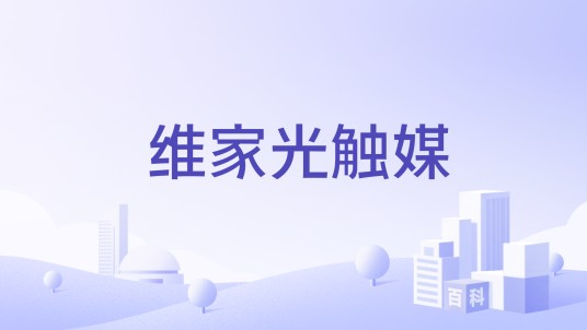 维家光触媒