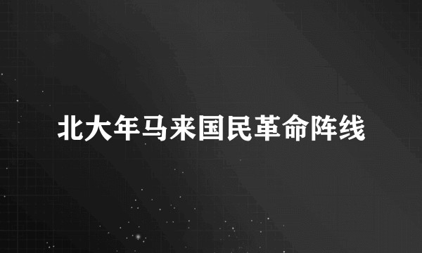 北大年马来国民革命阵线