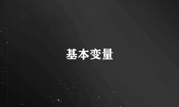 基本变量