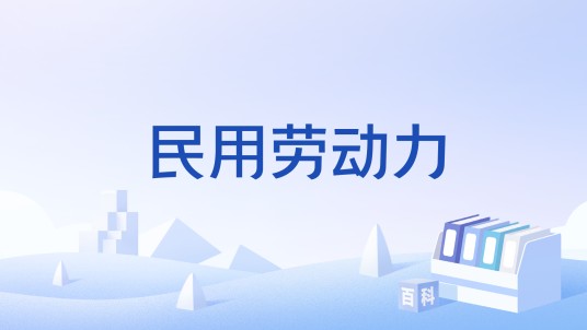 民用劳动力
