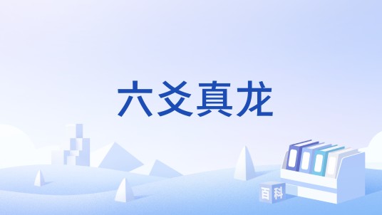 六爻真龙