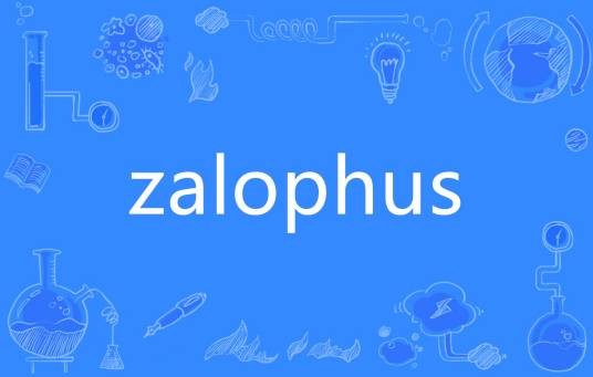 zalophus