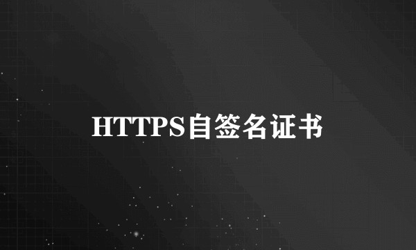 HTTPS自签名证书