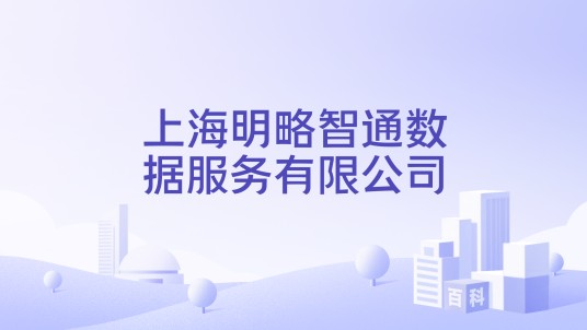上海明略智通数据服务有限公司
