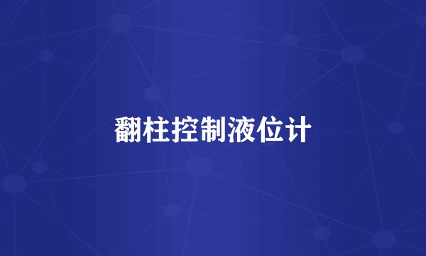 翻柱控制液位计