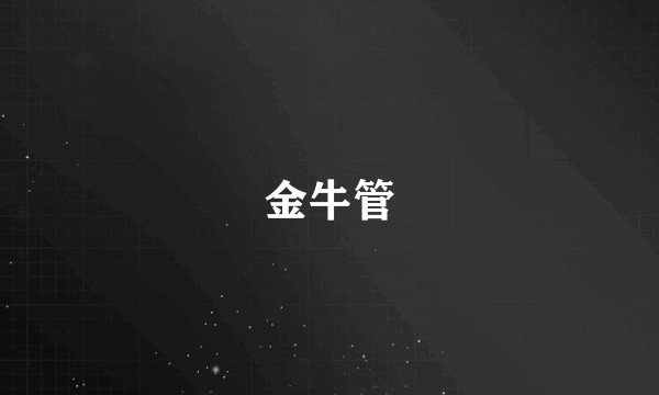 金牛管