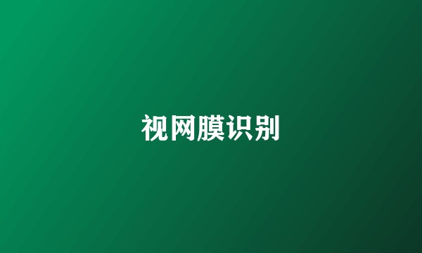 视网膜识别