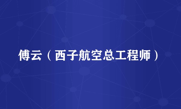 傅云（西子航空总工程师）