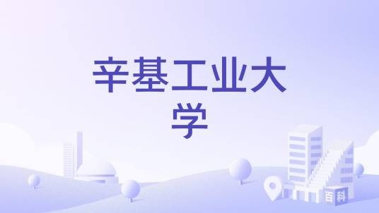 辛基工业大学