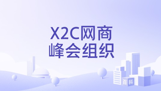 X2C网商峰会组织