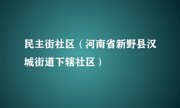 民主街社区（河南省新野县汉城街道下辖社区）