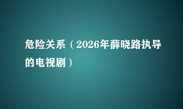 危险关系（2026年薛晓路执导的电视剧）