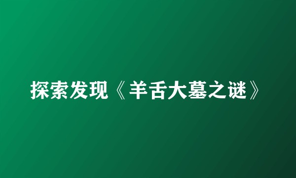 探索发现《羊舌大墓之谜》