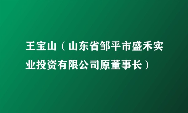 王宝山（山东省邹平市盛禾实业投资有限公司原董事长）