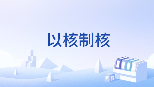 以核制核