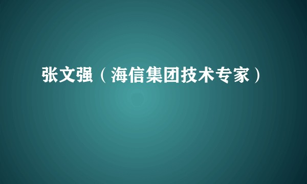 张文强（海信集团技术专家）