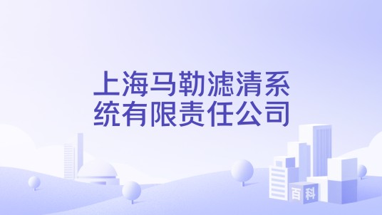 上海马勒滤清系统有限责任公司