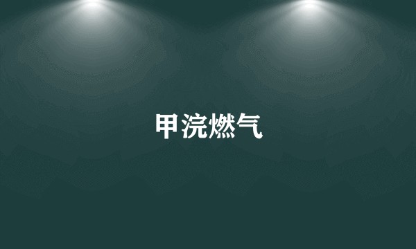 甲浣燃气