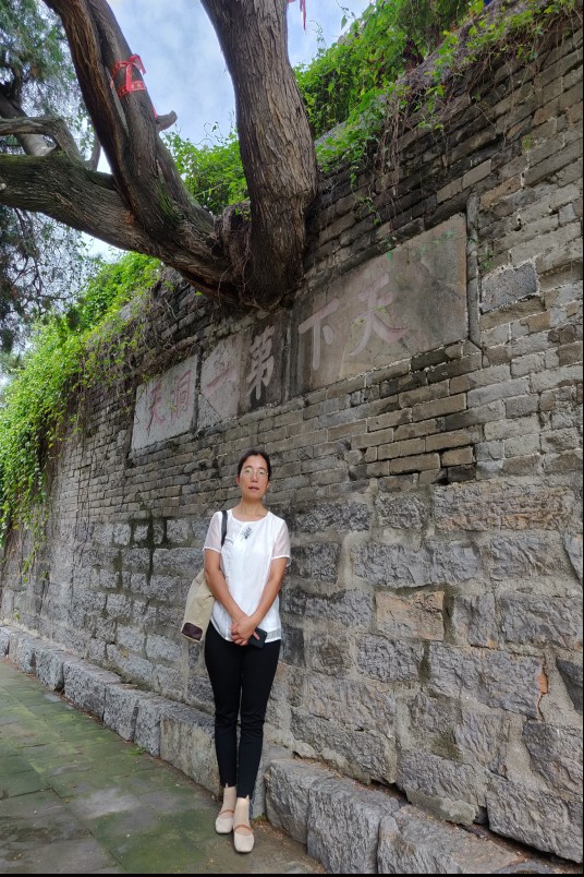 李红英（河北大学法学院副教授）