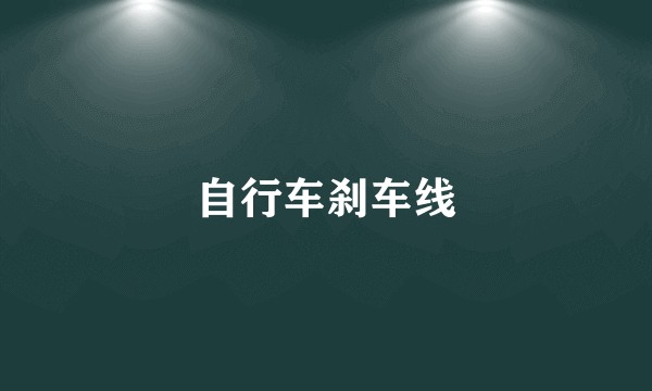 自行车刹车线