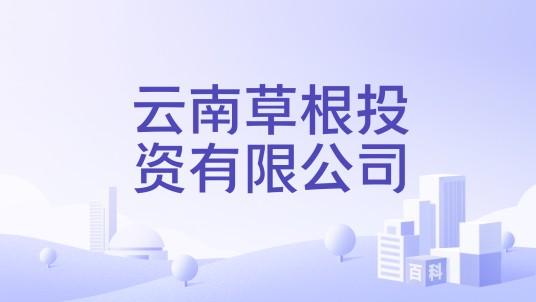 云南草根投资有限公司