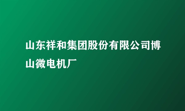 山东祥和集团股份有限公司博山微电机厂