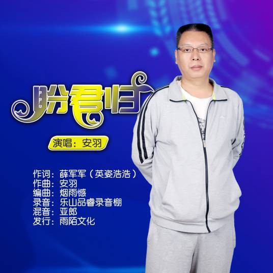 盼君归（安羽演唱的歌曲）