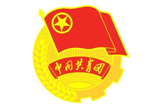 共青团武夷山市委员会