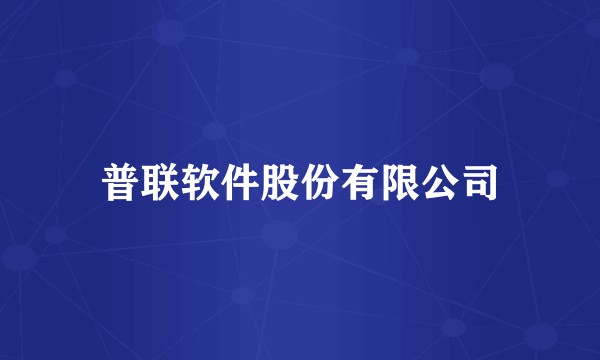 普联软件股份有限公司