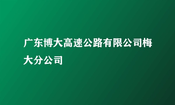 广东博大高速公路有限公司梅大分公司