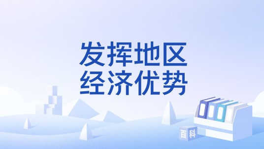 发挥地区经济优势